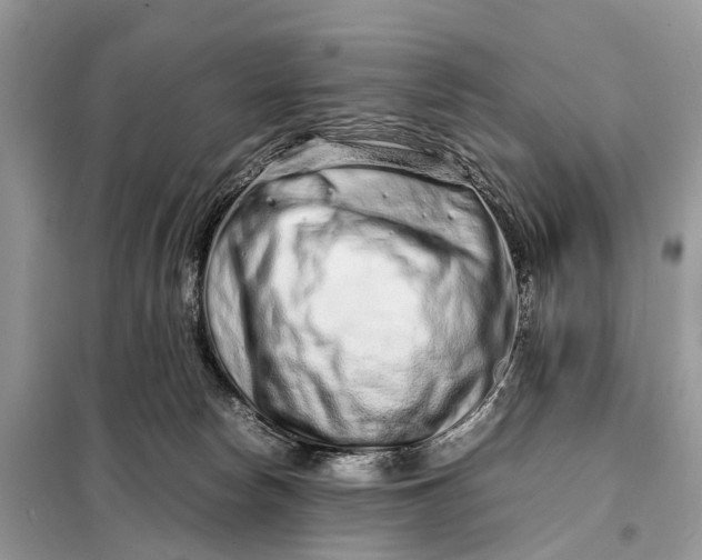 X0000098220178200805081207