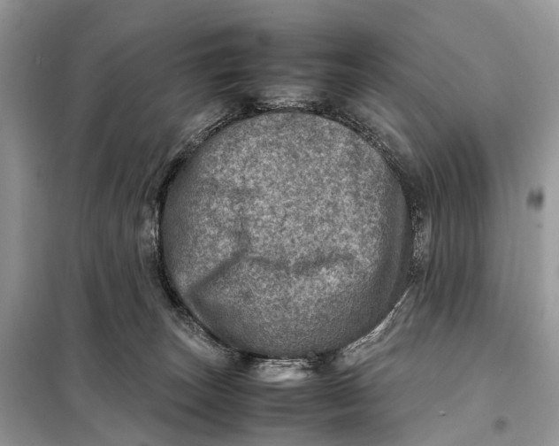 X0000098220179200805081207