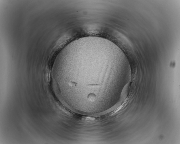 X0000098220180200805081207