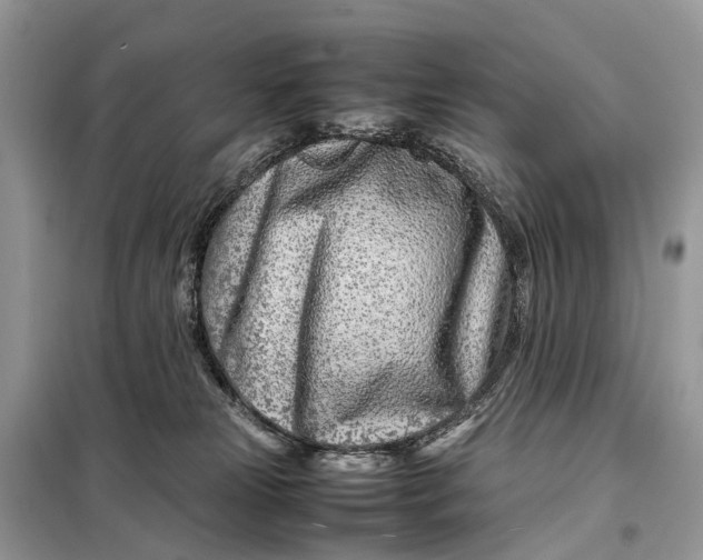 X0000098220181200805081207