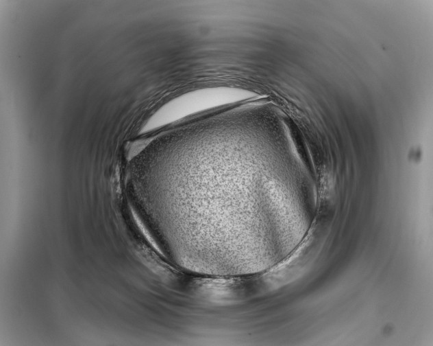 X0000098220182200805081207