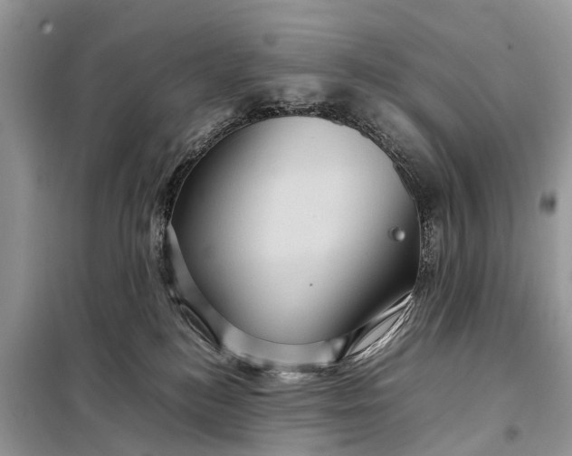 X0000098220184200805081207