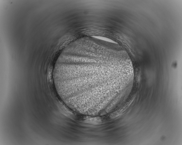 X0000098220185200805081207