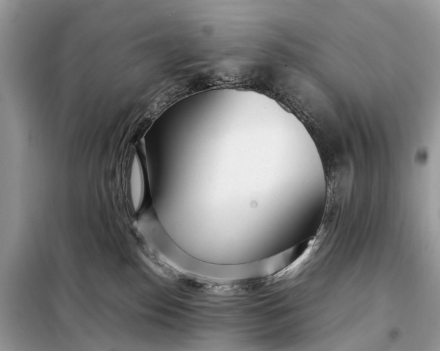 X0000098220186200805081207