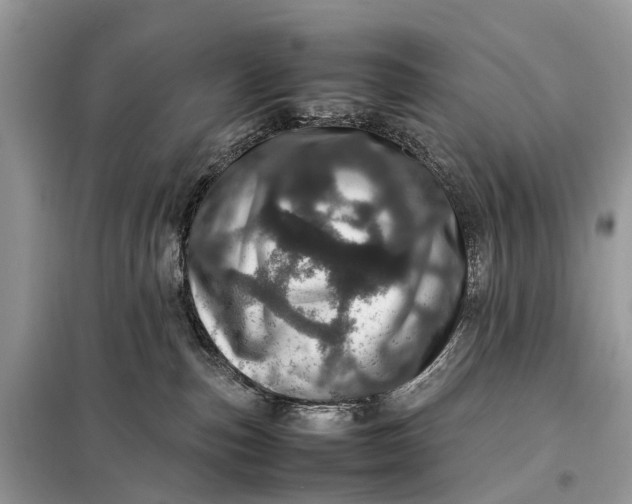 X0000098220187200805081207