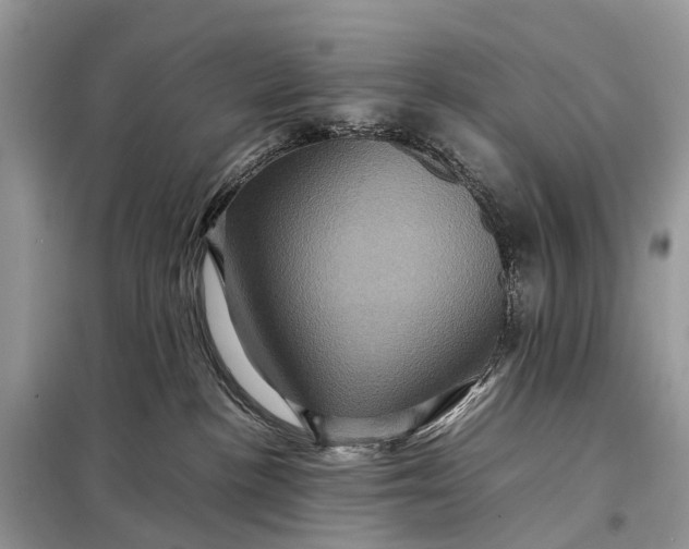 X0000098220188200805081207