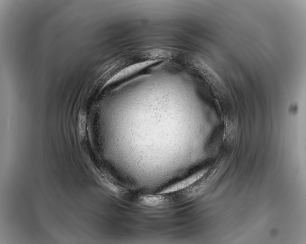 X0000098220189200805081207