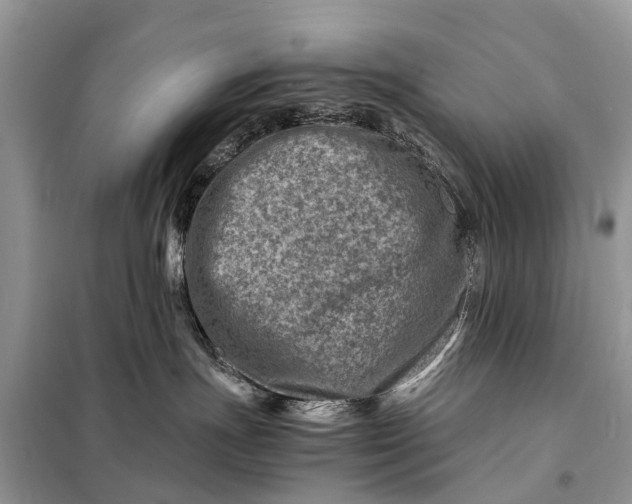 X0000098220191200805081207