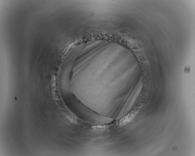 X0000098220192200805081207