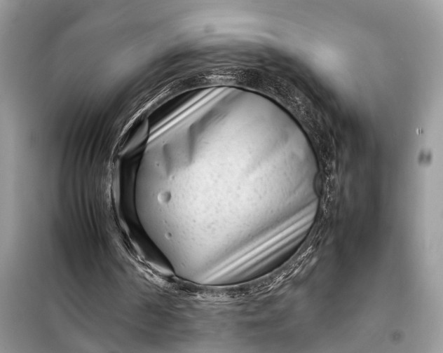 X0000098220194200805081206