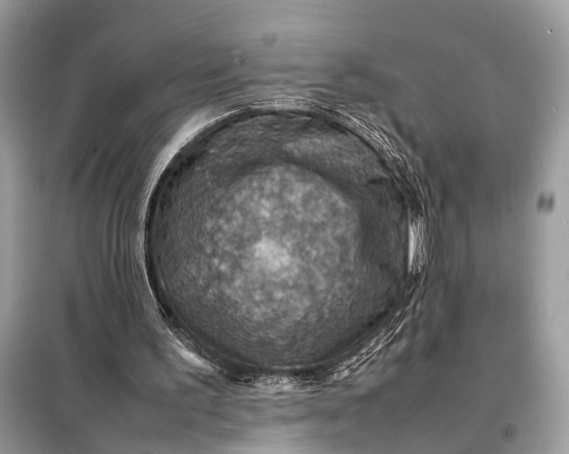 X0000098220195200805081206