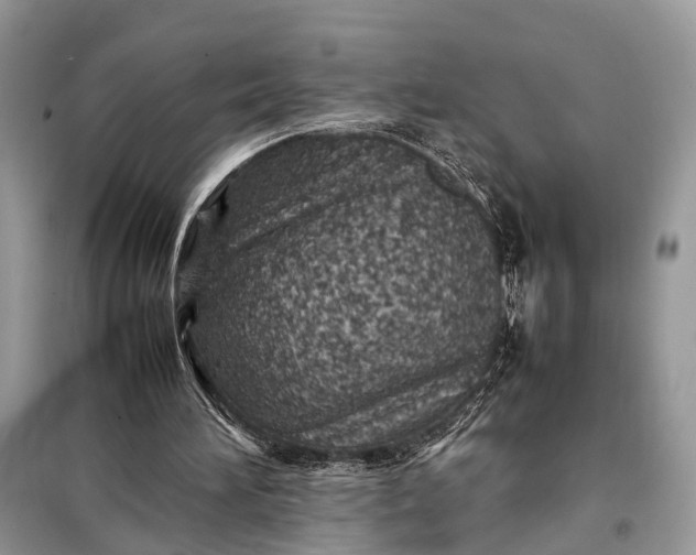 X0000098220196200805081206