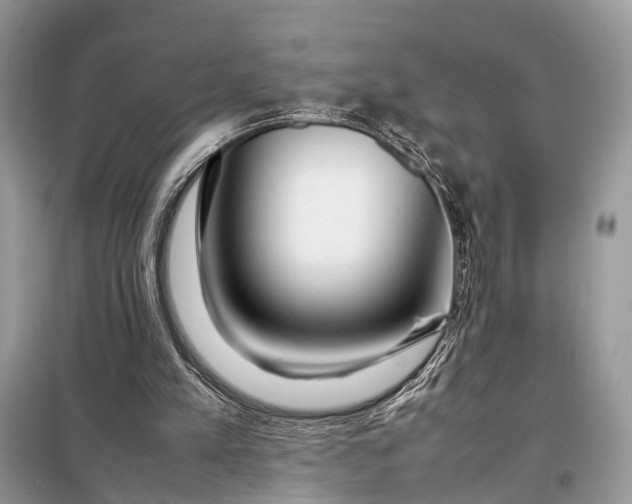 X0000098220197200805081206