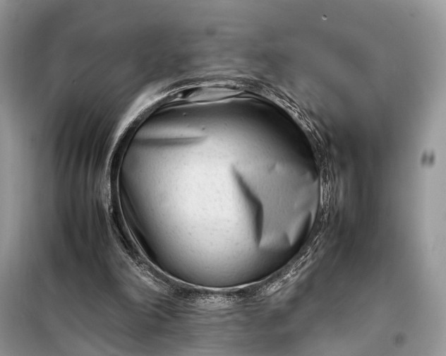 X0000098220198200805081206