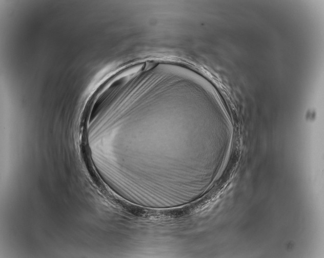 X0000098220199200805081206