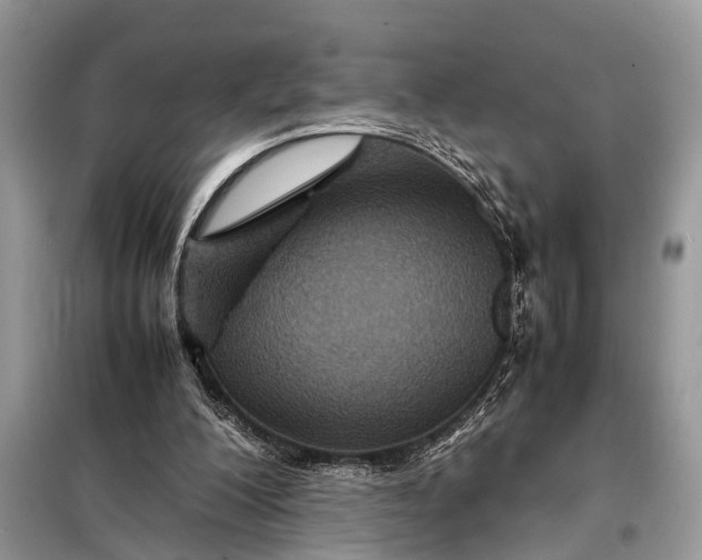 X0000098220200200805081206