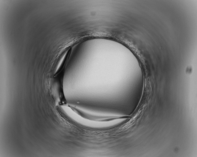 X0000098220201200805081206