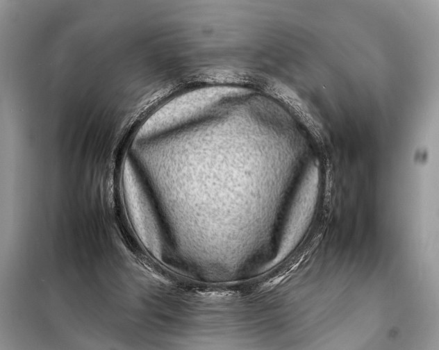 X0000098220202200805081206