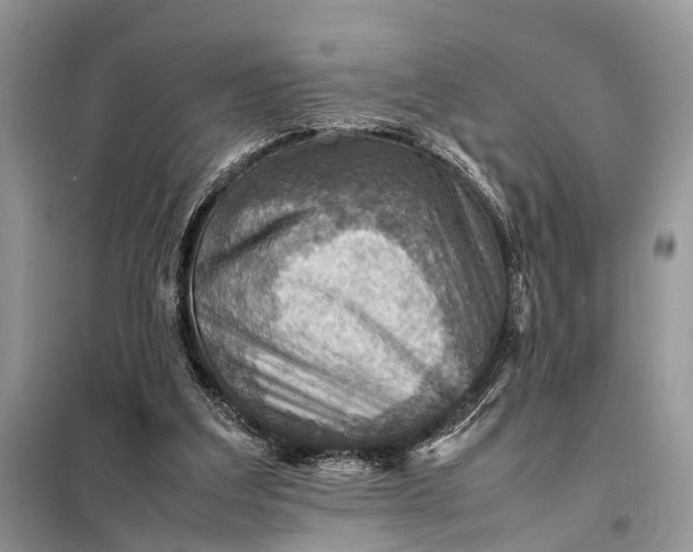 X0000098220203200805081206