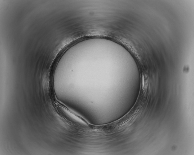 X0000098220204200805081206