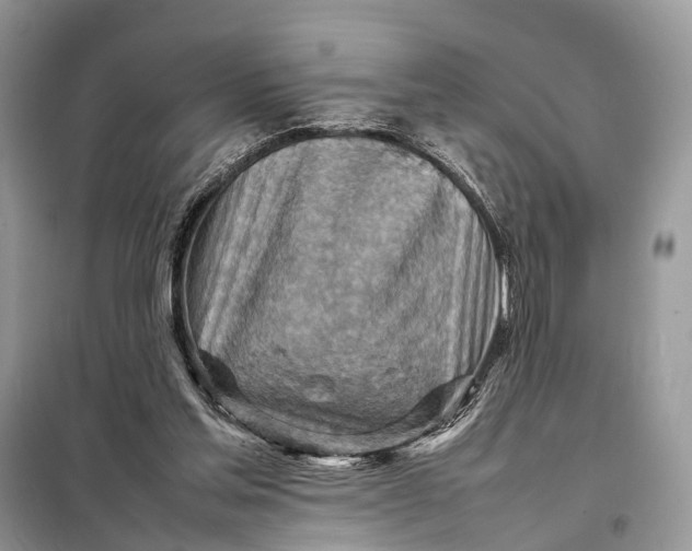 X0000098220205200805081206