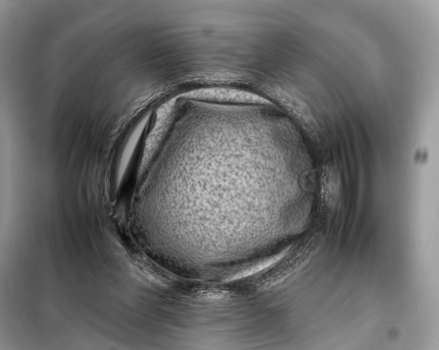 X0000098220206200805081206