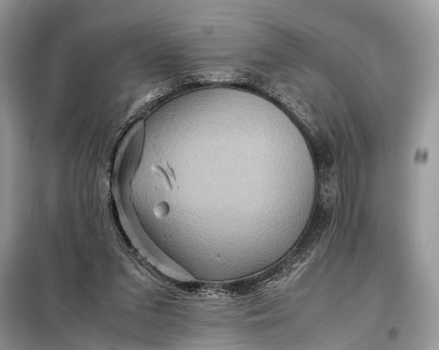 X0000098220207200805081206