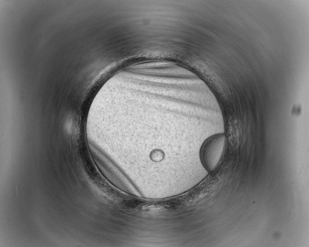 X0000098220208200805081206