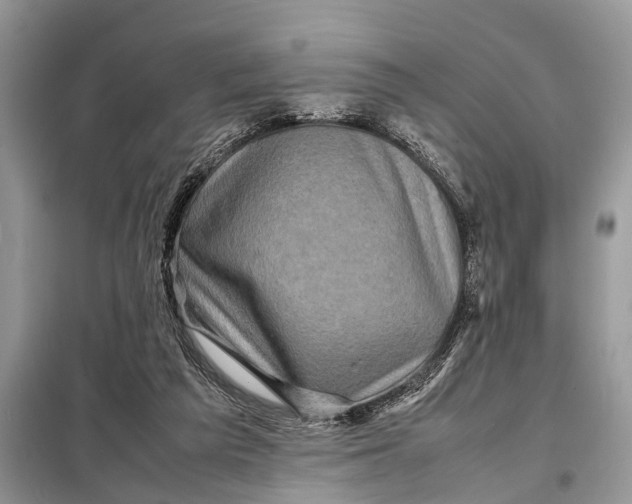 X0000098220209200805081206