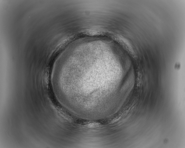 X0000098220210200805081206