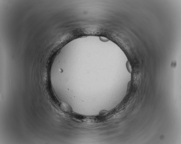 X0000098220211200805081206