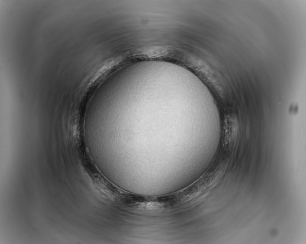 X0000098220212200805081206