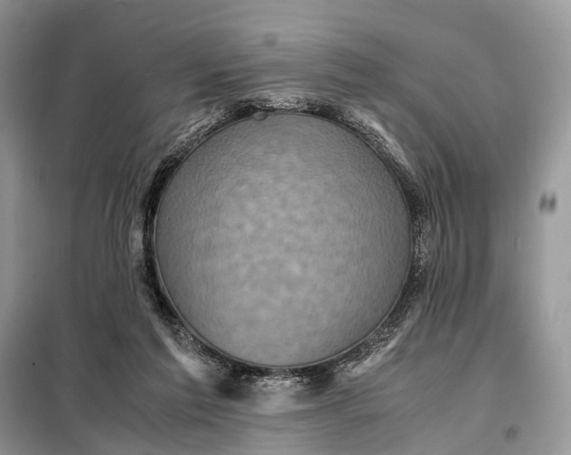 X0000098220213200805081206