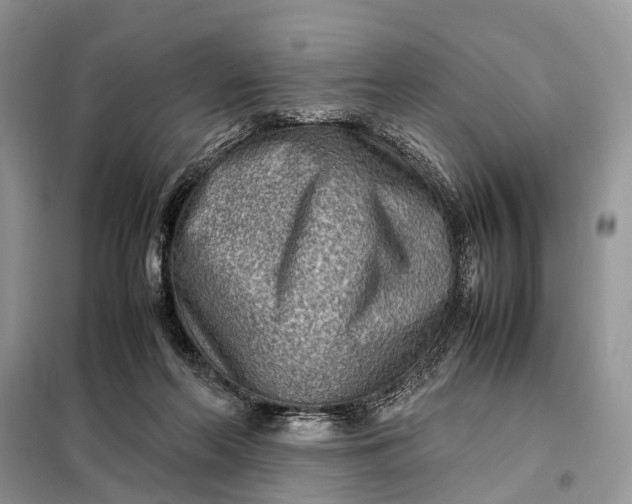 X0000098220214200805081206