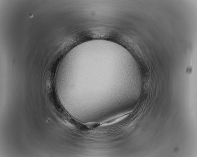 X0000098220215200805081206