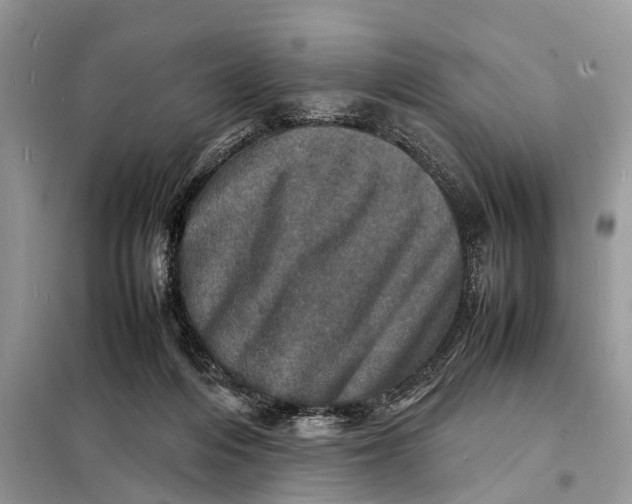 X0000098220216200805081206