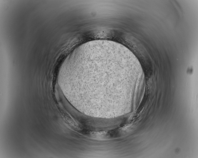 X0000098220217200805081206