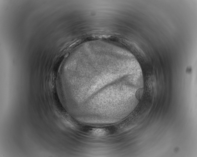 X0000098220218200805081206