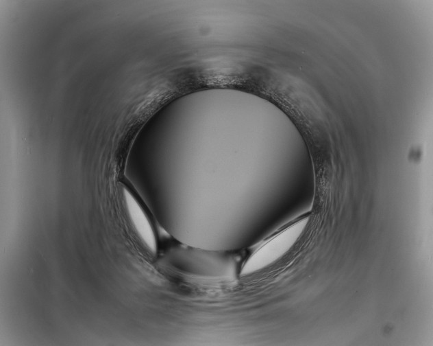 X0000098220219200805081206