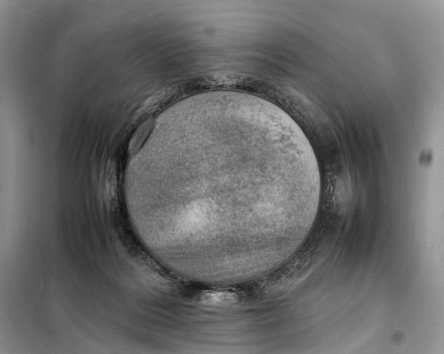 X0000098220220200805081206