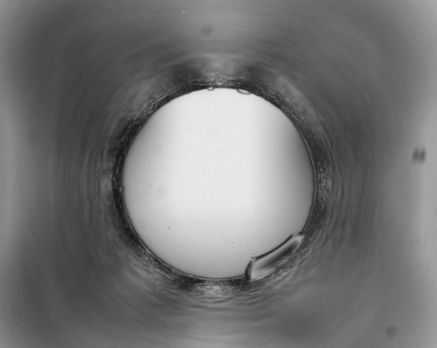 X0000098220221200805081206