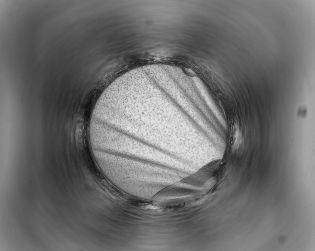 X0000098220222200805081206