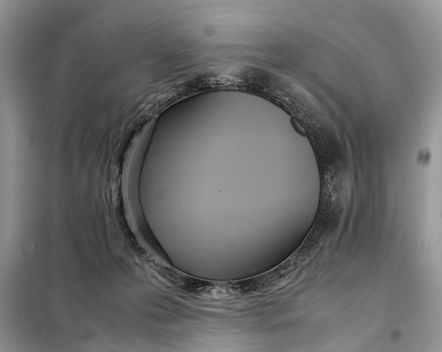 X0000098220223200805081206