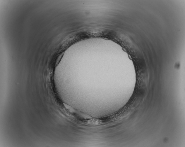 X0000098220225200805081206