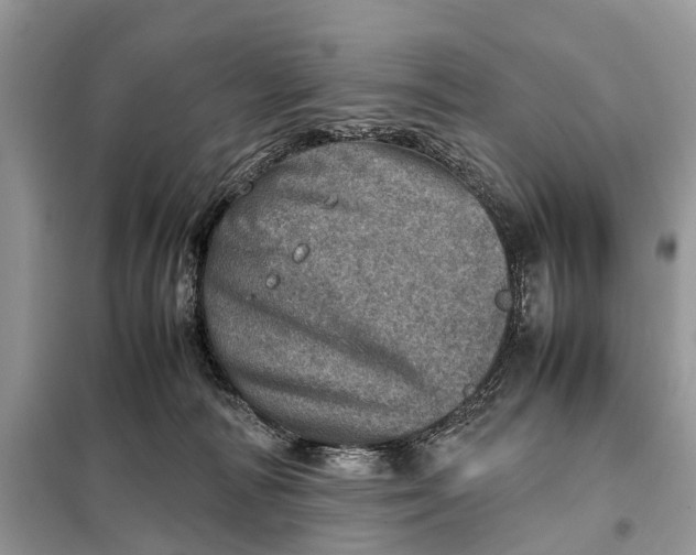 X0000098220226200805081206