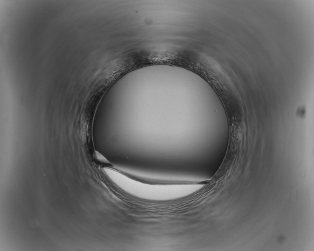 X0000098220227200805081206