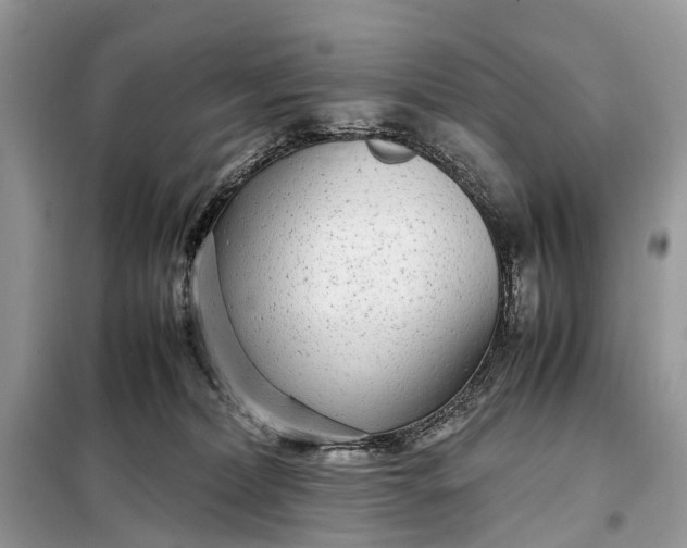 X0000098220228200805081206