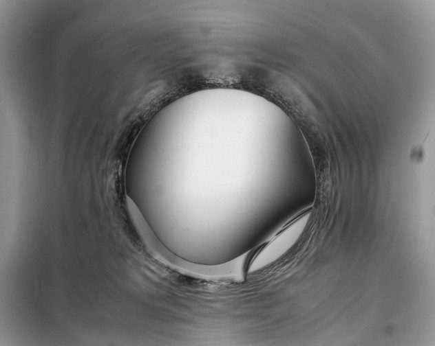 X0000098220229200805081206