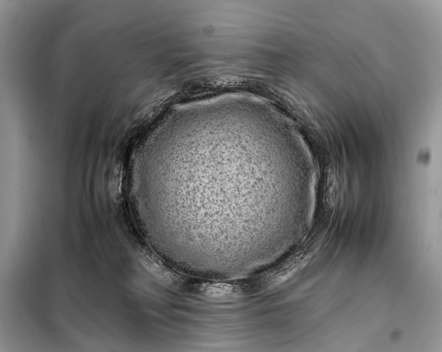 X0000098220230200805081206