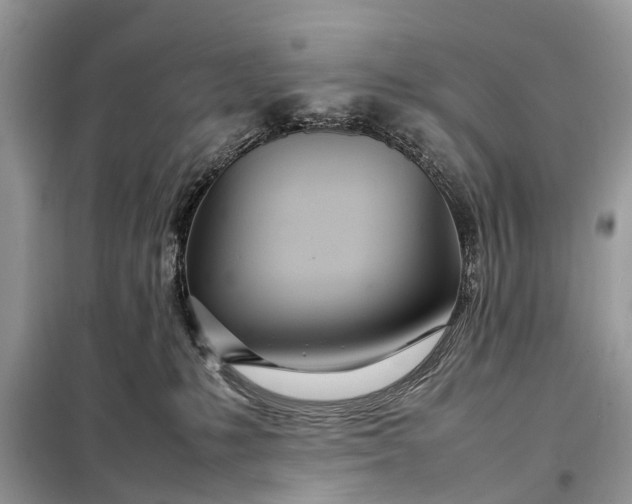 X0000098220231200805081206